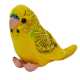 Papuga falista żółta 13cm