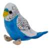 Papuga falista biało-niebieska13cm